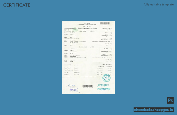 Beispiel einer Scheidungsurkunde aus dem Punjab, Pakistan (Vorschau)